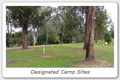 Designated Camp Sites