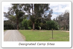 Designated Camp Sites