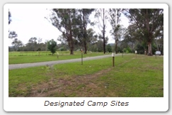 Designated Camp Sites