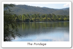 The Pondage